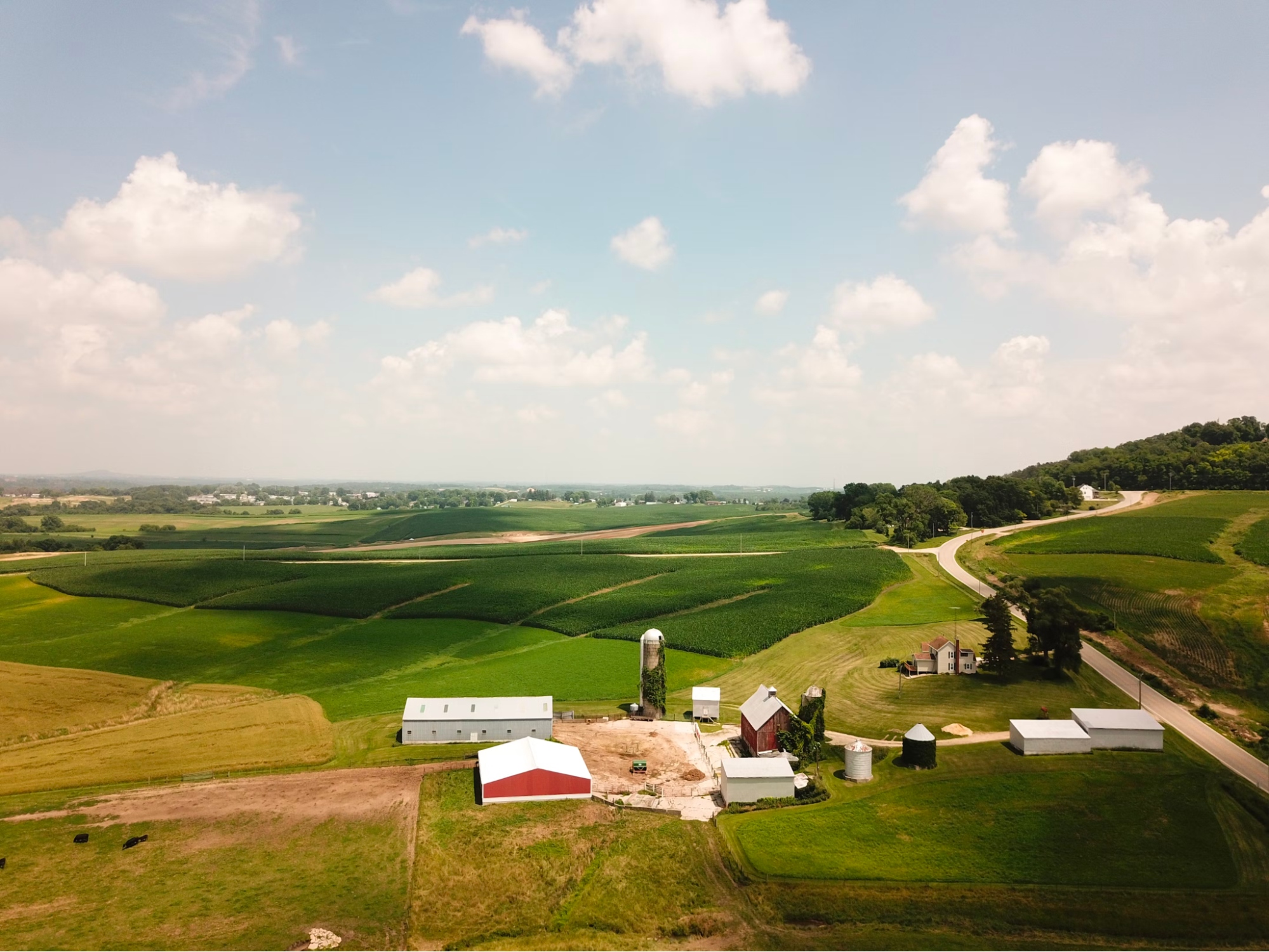 Farmhouses in a rural area